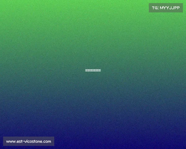 德国足球各项赛事时间